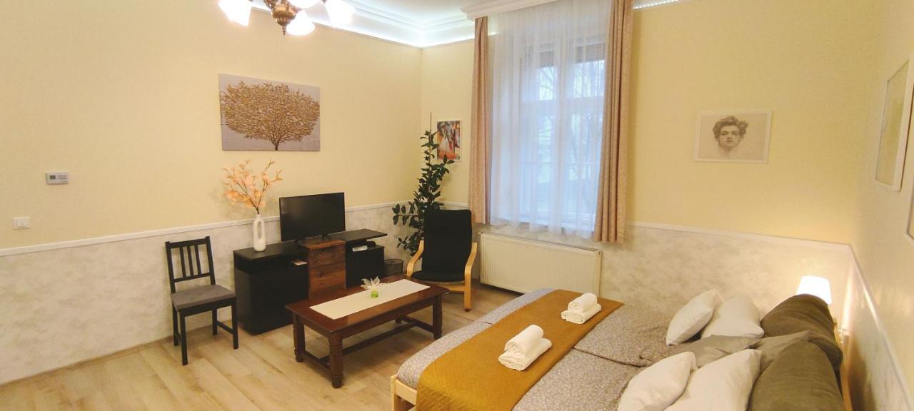 Center Apartman Szeged Buitenkant foto